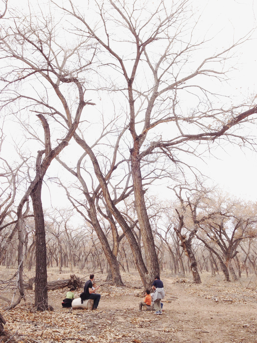 Whatever Season You're In