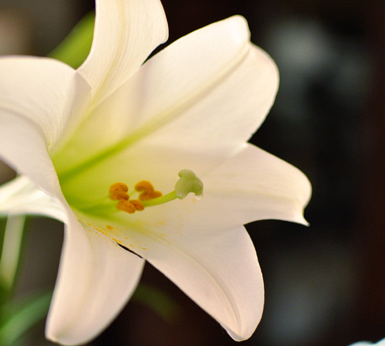 When Sunday People Forget On Monday