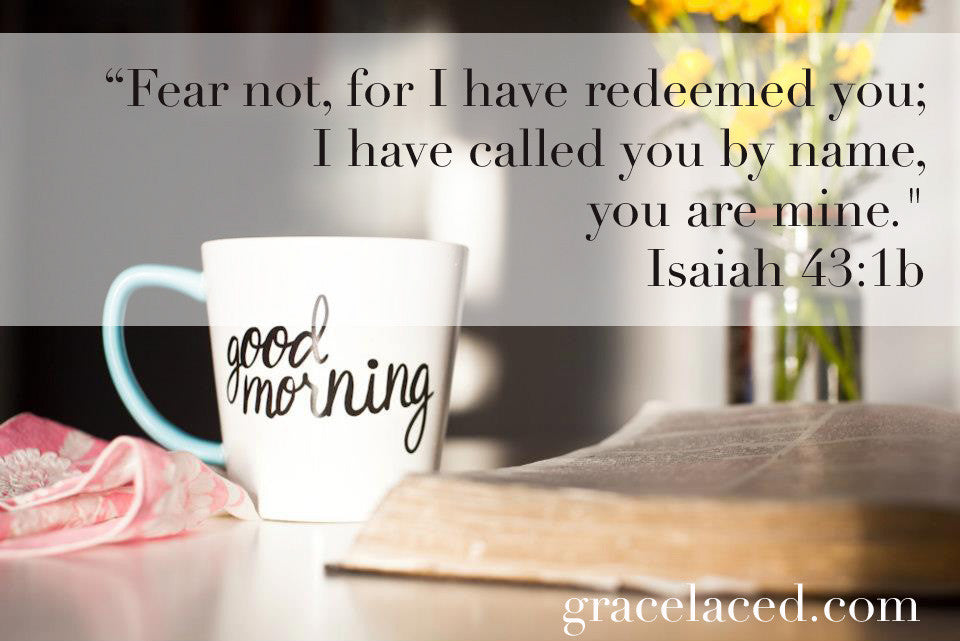 Why I Don't Read My Bible