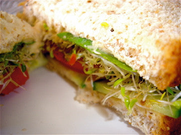 Veggie Sandwich