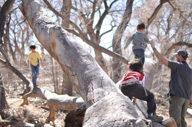 In Which I Write About Balance Beams, Footing, and Not Writing