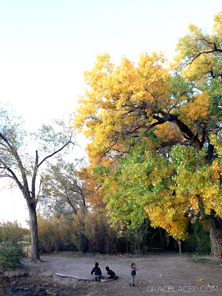 Nothing More and Nothing Less