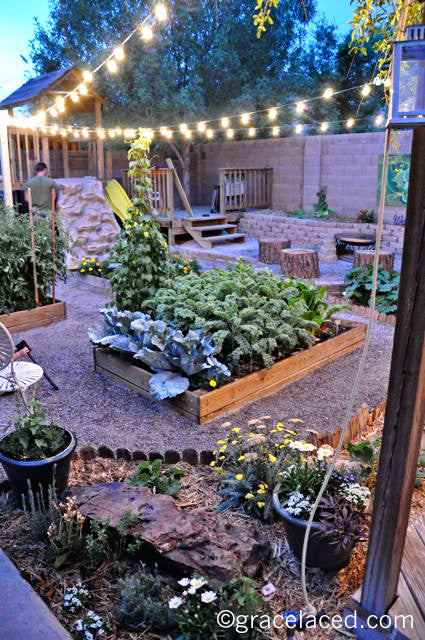 Right Where You're Planted