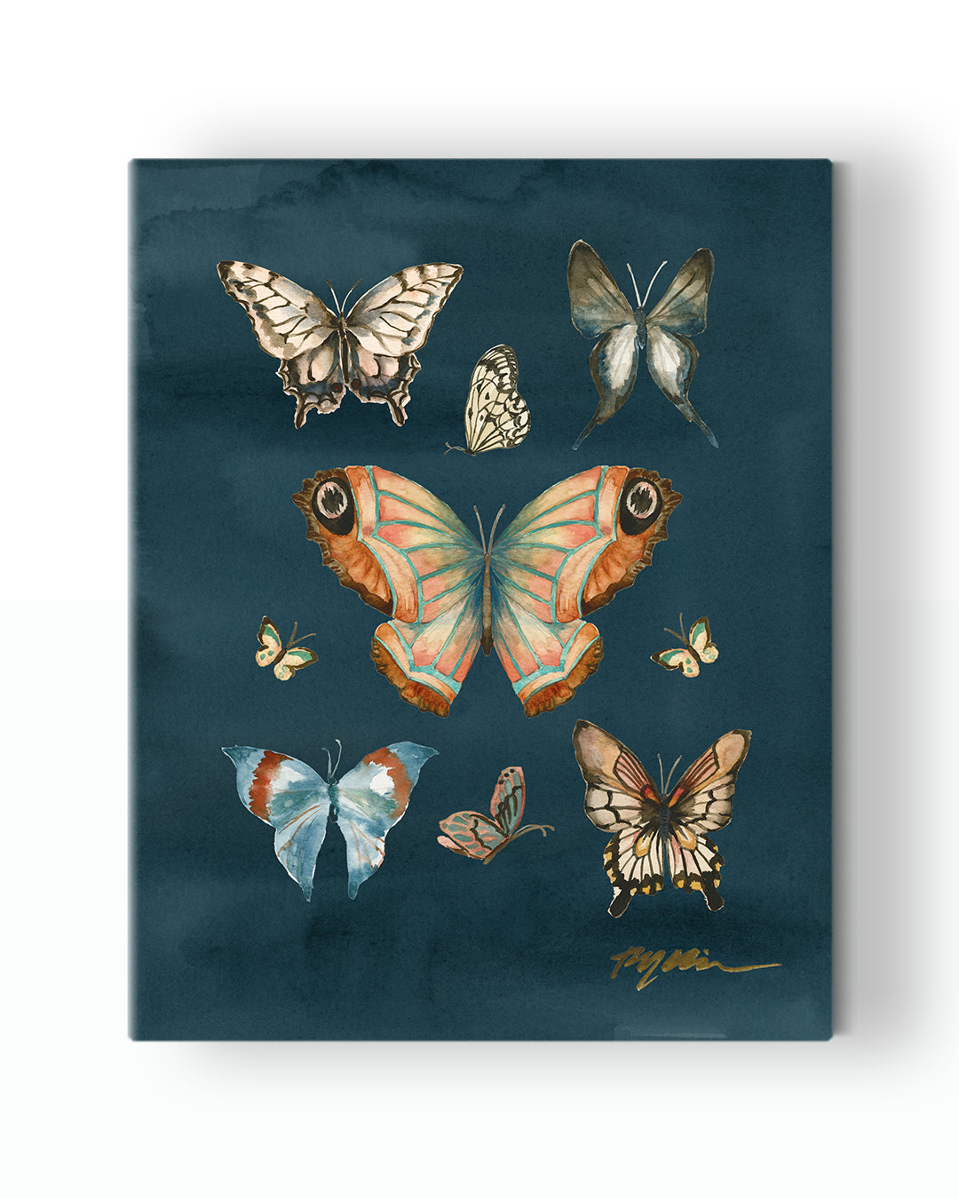 Butterfly Study Fine Art Canvas