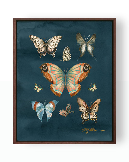 Butterfly Study Canvas