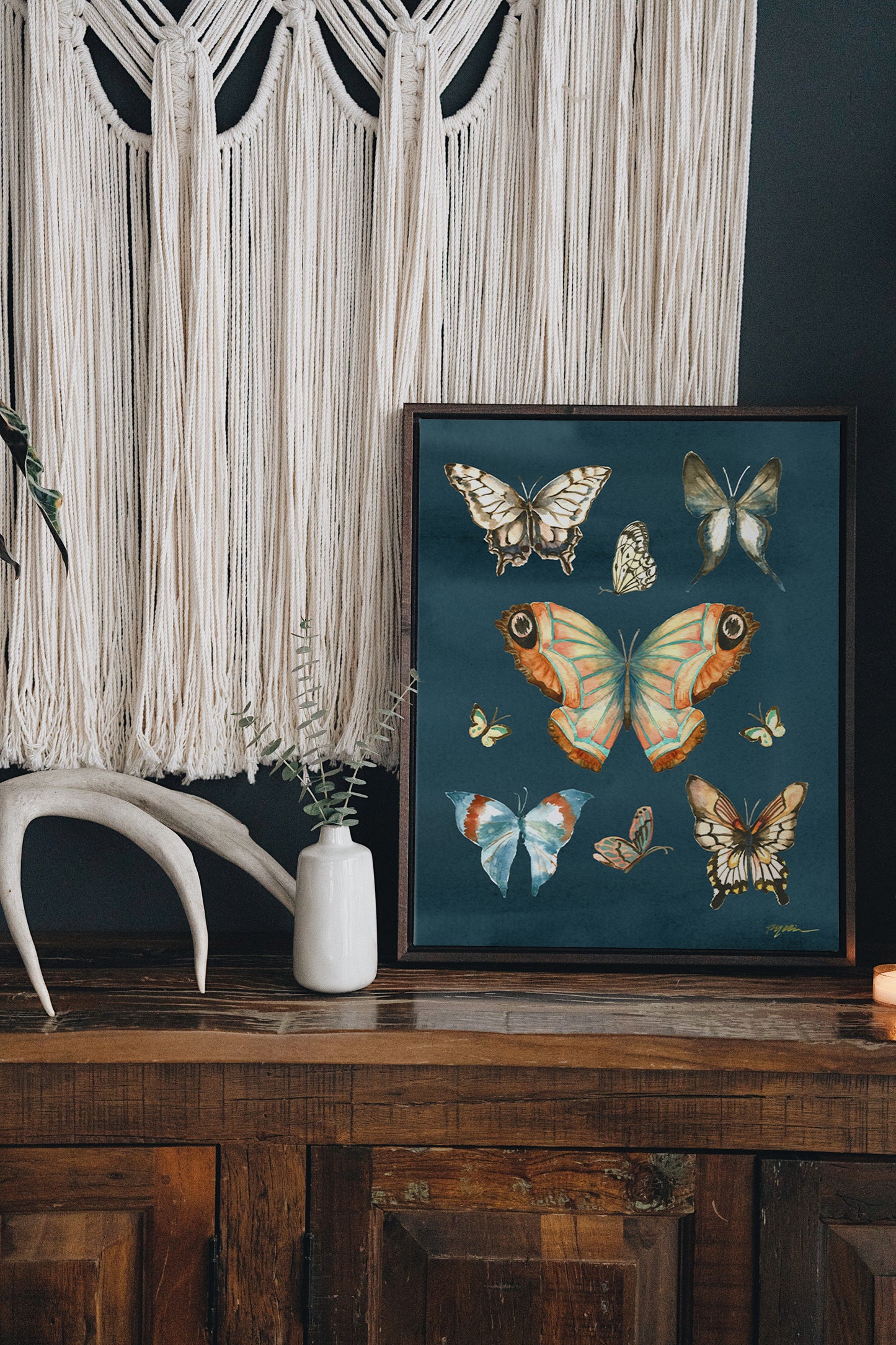 Butterfly Study Fine Art Canvas