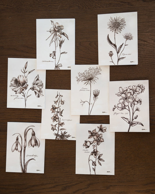 Set of botanical illustrations on white paper arranged on a wooden surface