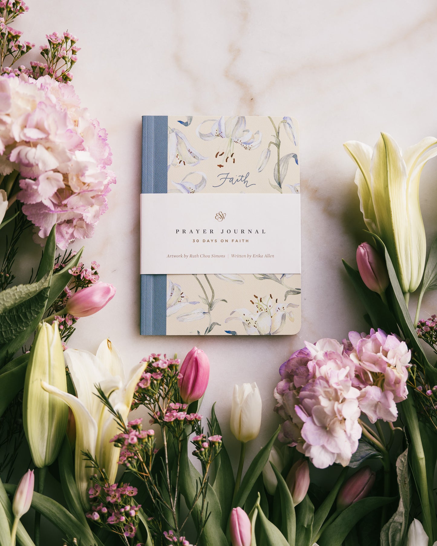 ESV Prayer Journal: 30 Days on Faith