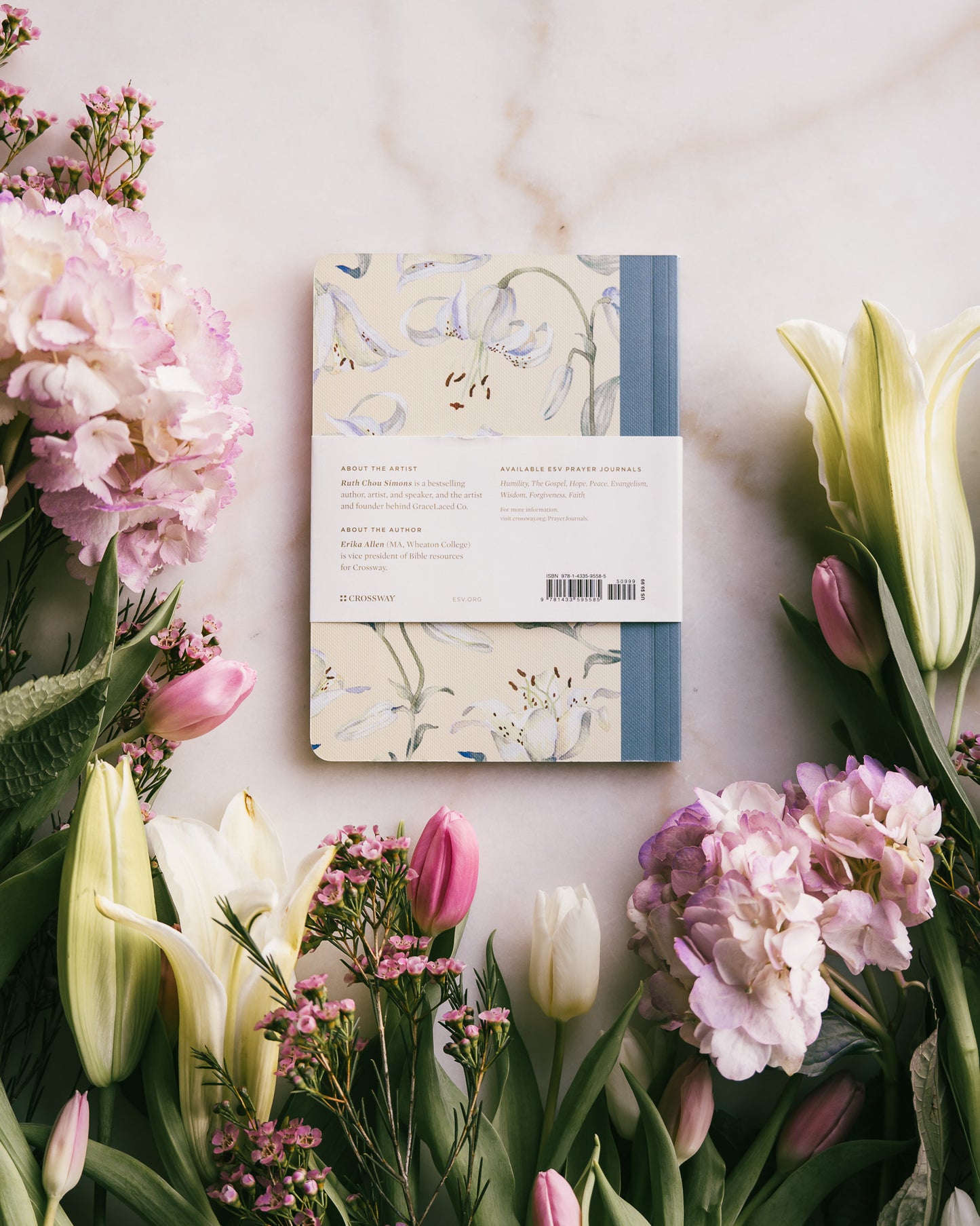 ESV Prayer Journal: 30 Days on Faith