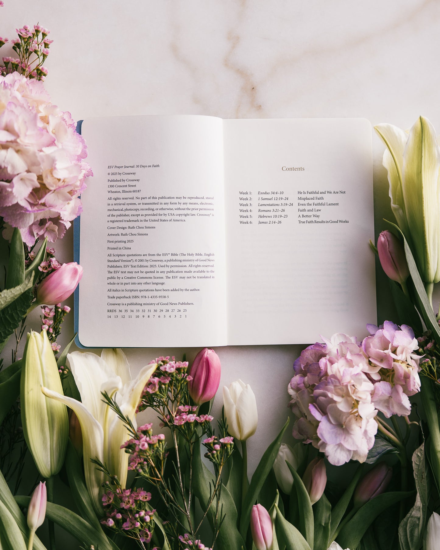 ESV Prayer Journal: 30 Days on Faith