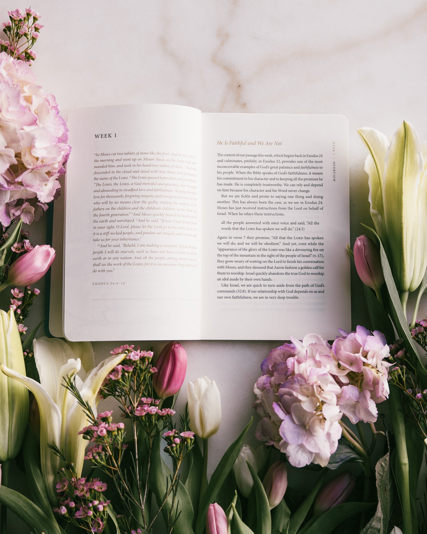 ESV Prayer Journal: 30 Days on Faith