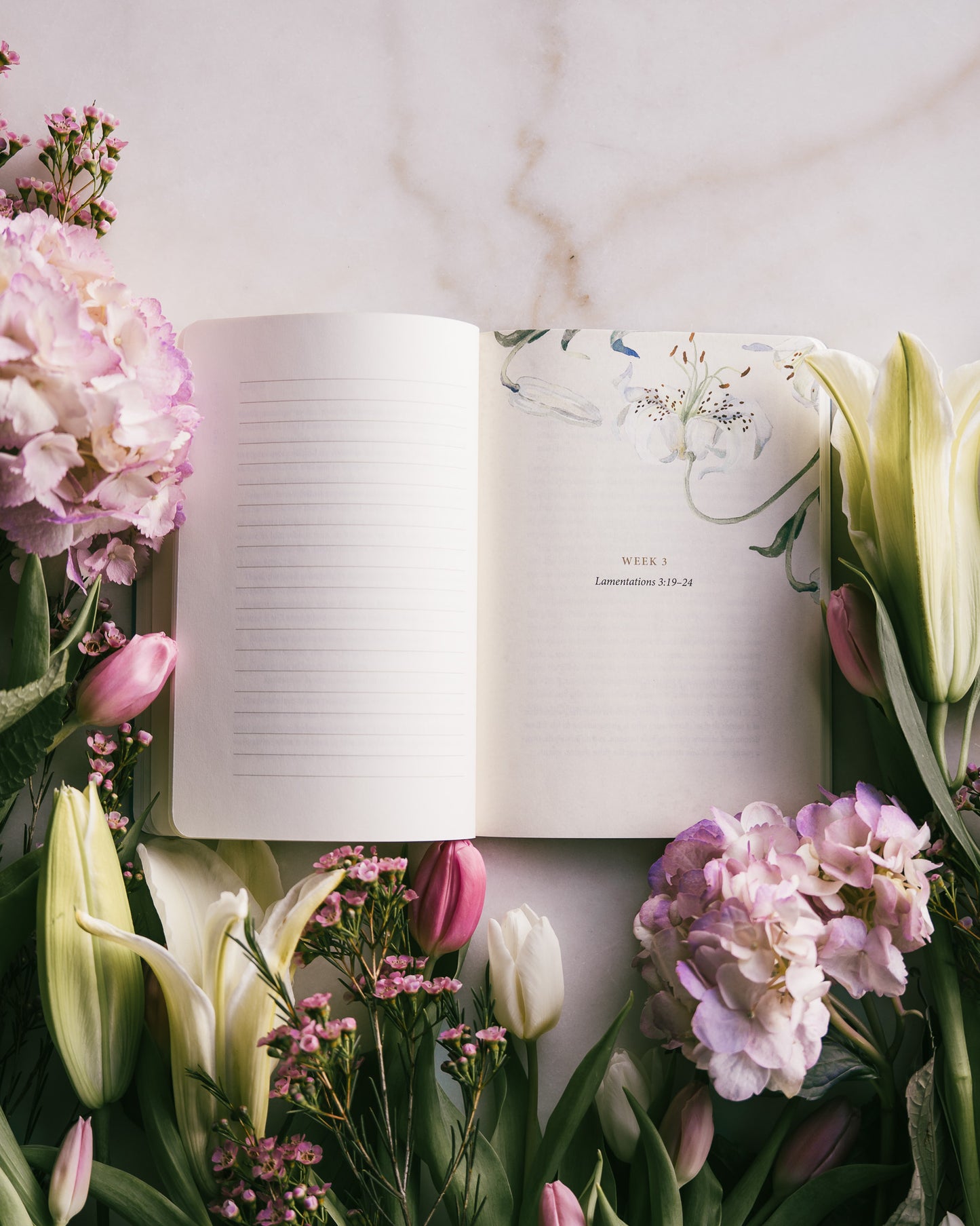 ESV Prayer Journal: 30 Days on Faith