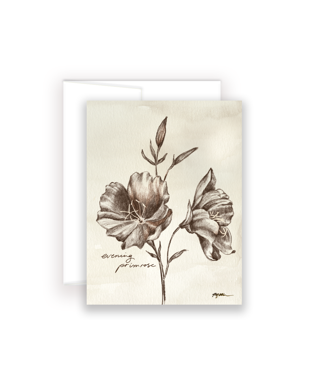 Wildflower Notecards