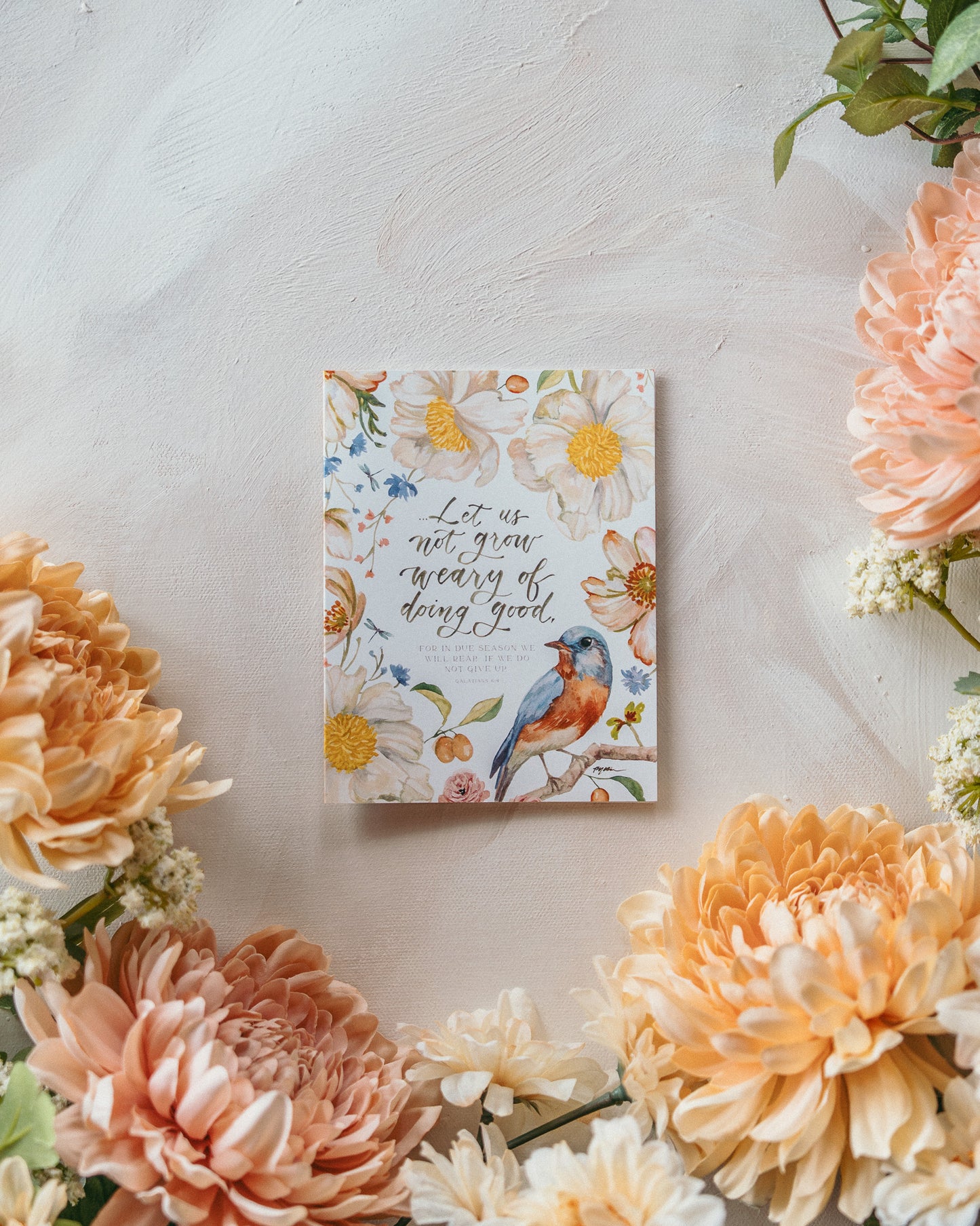 Galatians 6:9 | Let Us Not Grow Weary Notecard Set