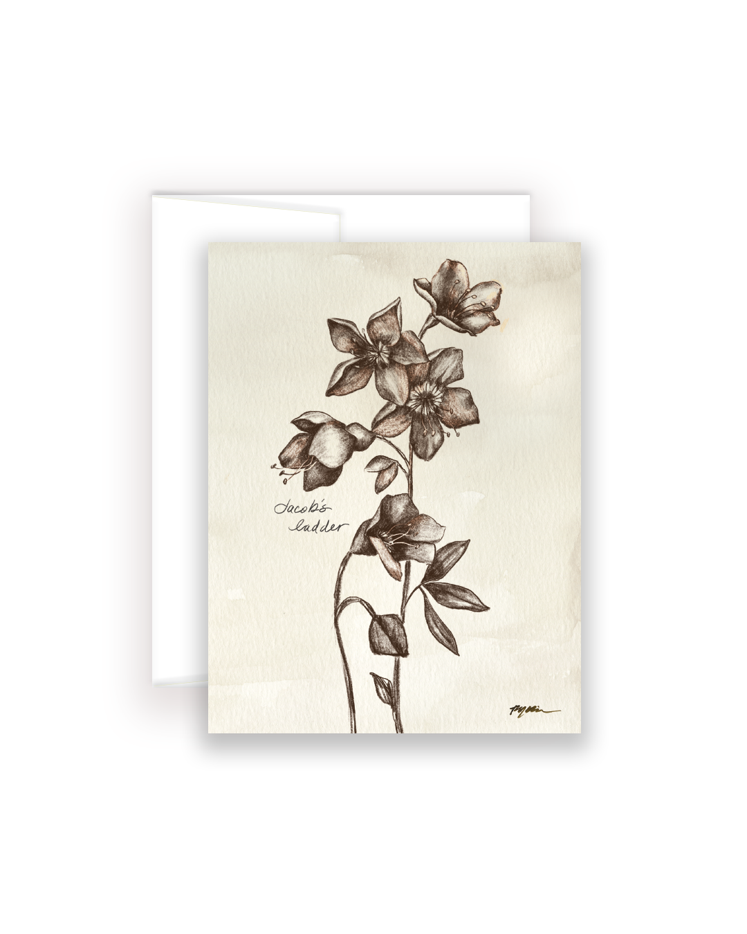 Wildflower Notecards