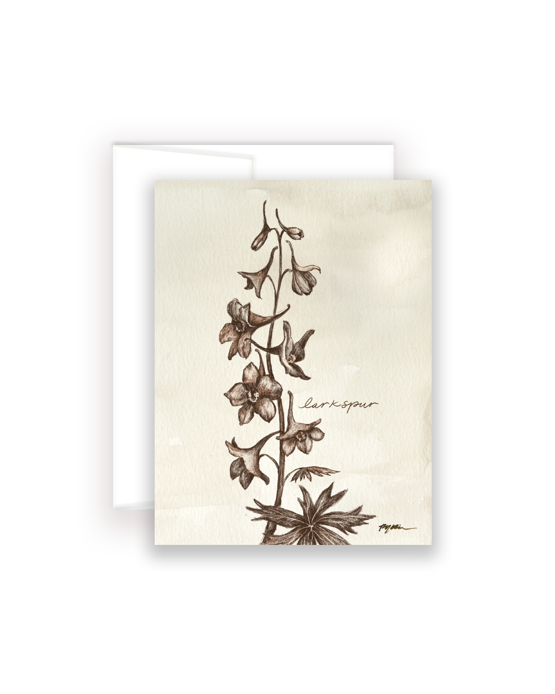 Wildflower Notecards