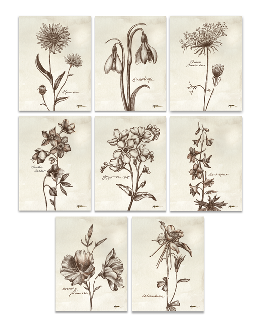 Wildflower Notecards