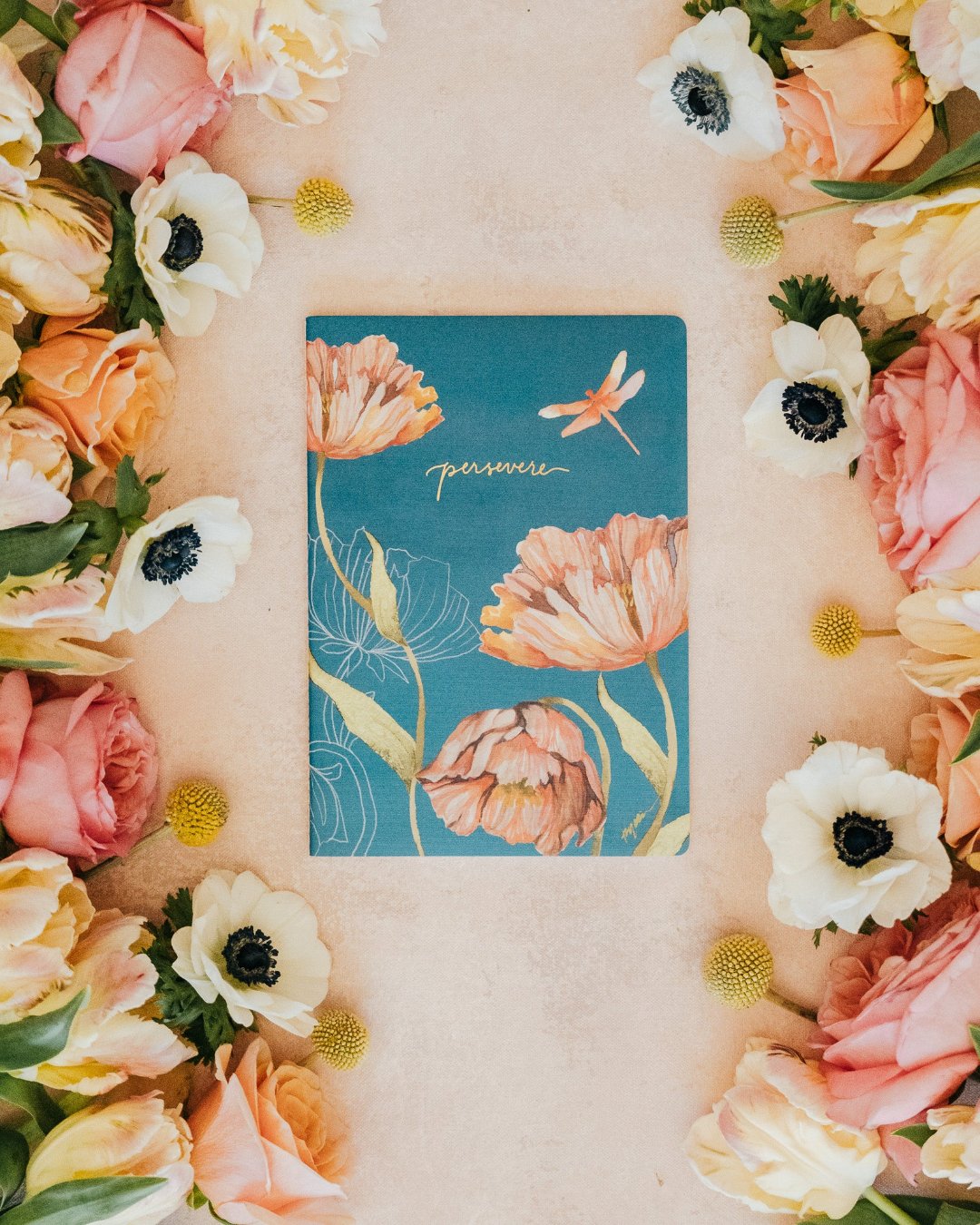 notebook, small notebook, thin, ponder, praise