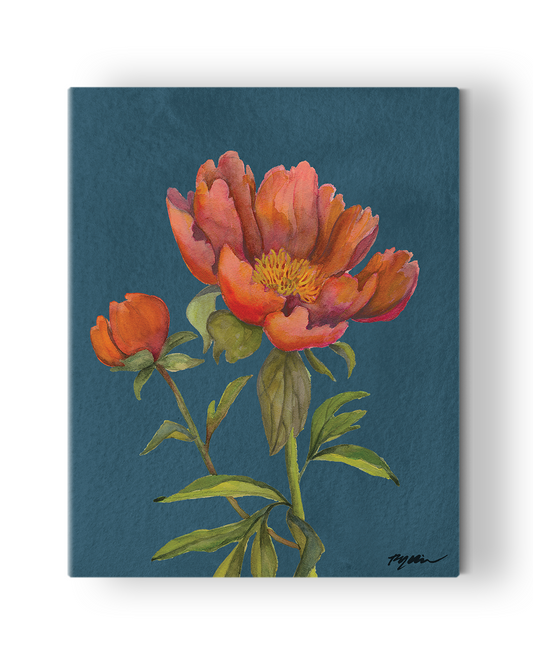 Red Peony Fine Art Canvas