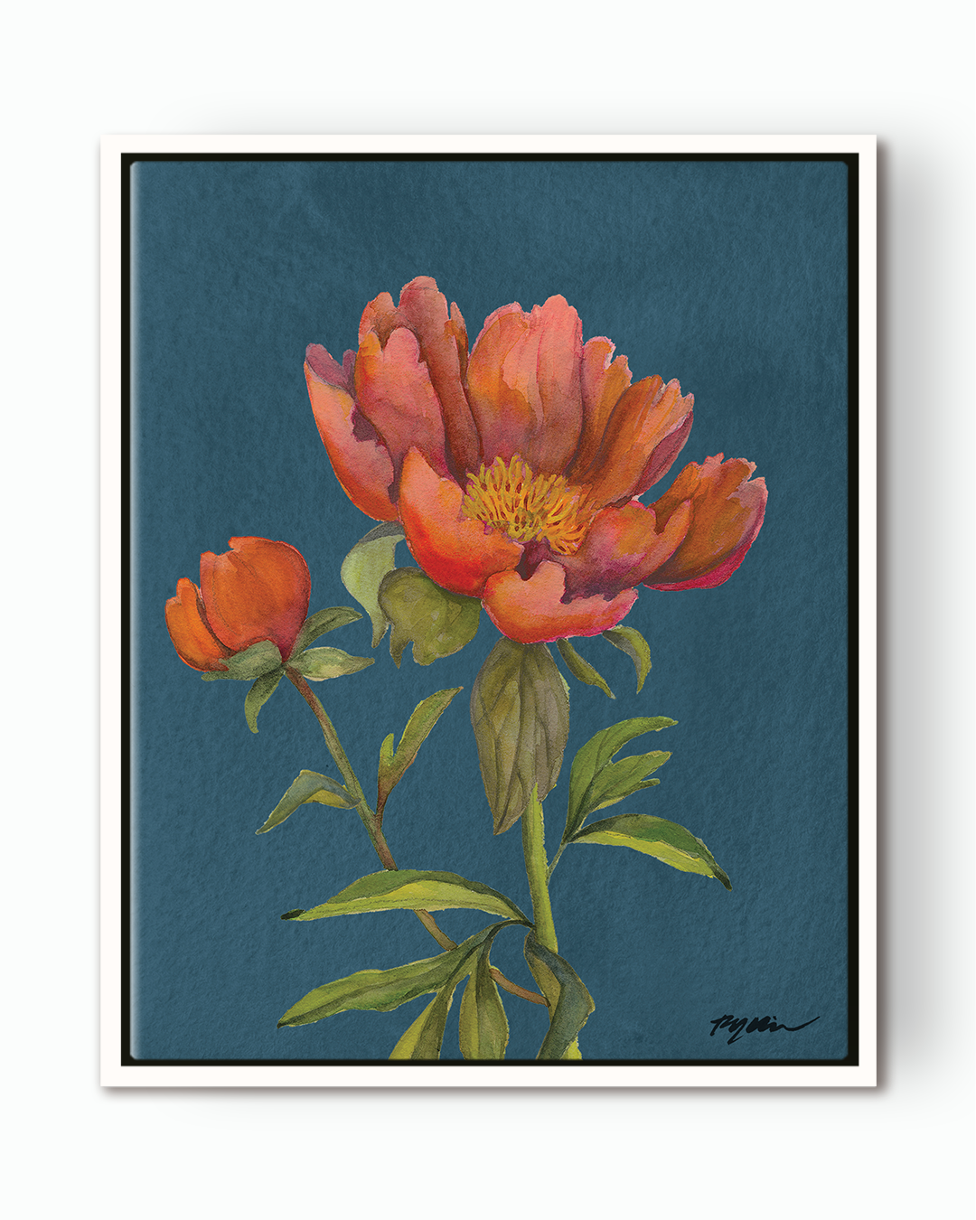 Red Peony Fine Art Canvas