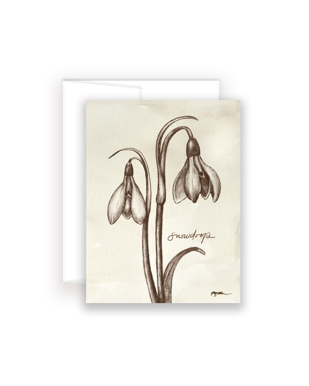 Wildflower Notecards