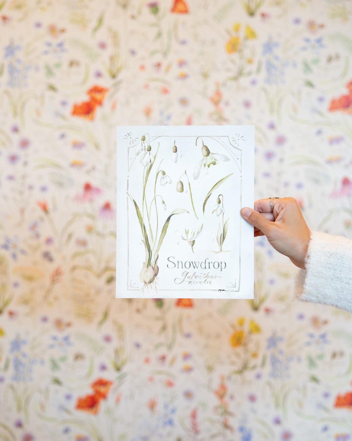 Botanical Study: Snowdrop Print