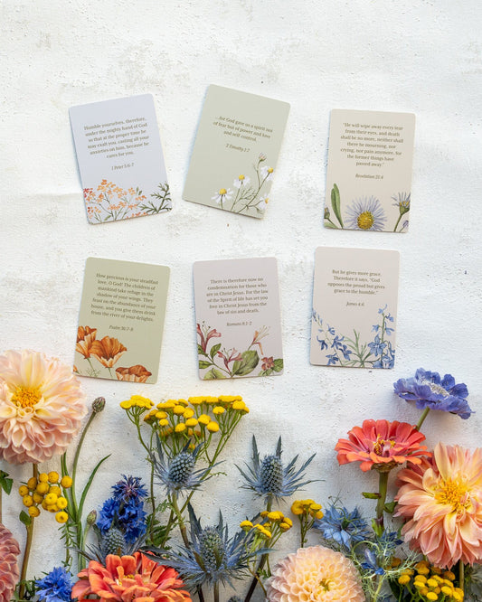 Verse Cards: Reminders for Anxious Hearts