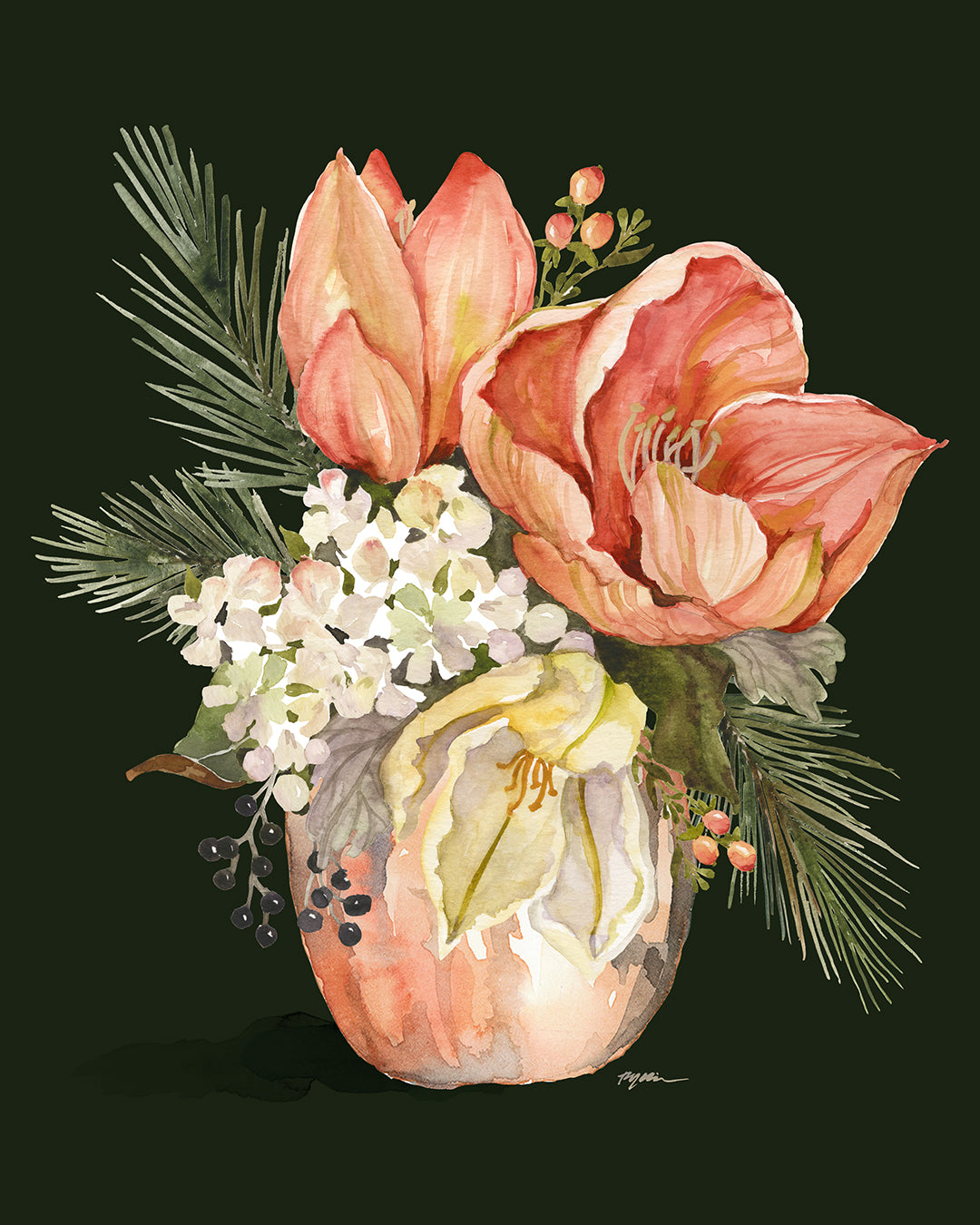 Amaryllis Study #2 Fine Art Canvas