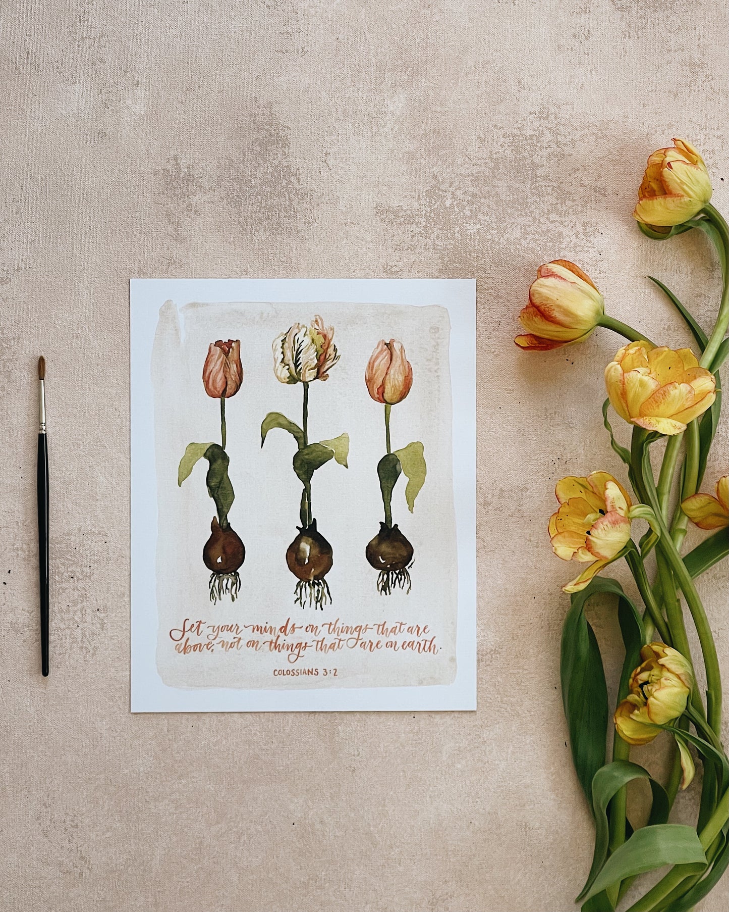 Colossians 3:2 | Set Your Mind on Things That Are Above Print