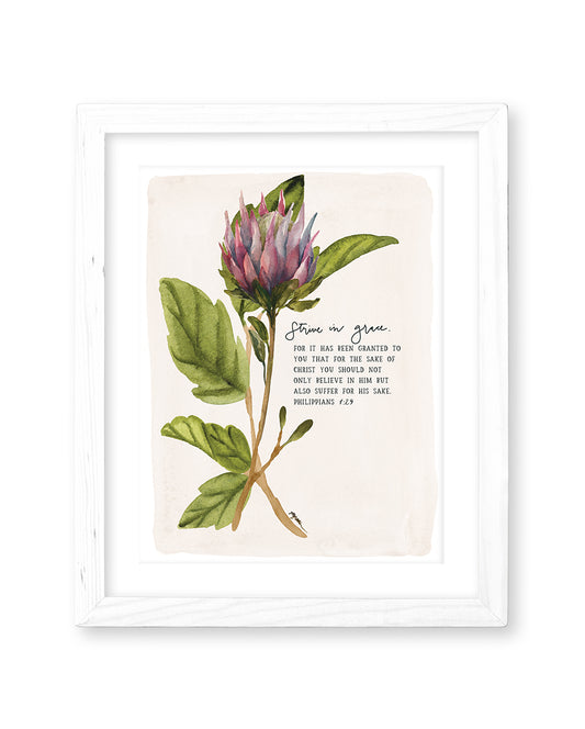 Philippians 1:29 | Strive in Grace Print (Foundation 12)