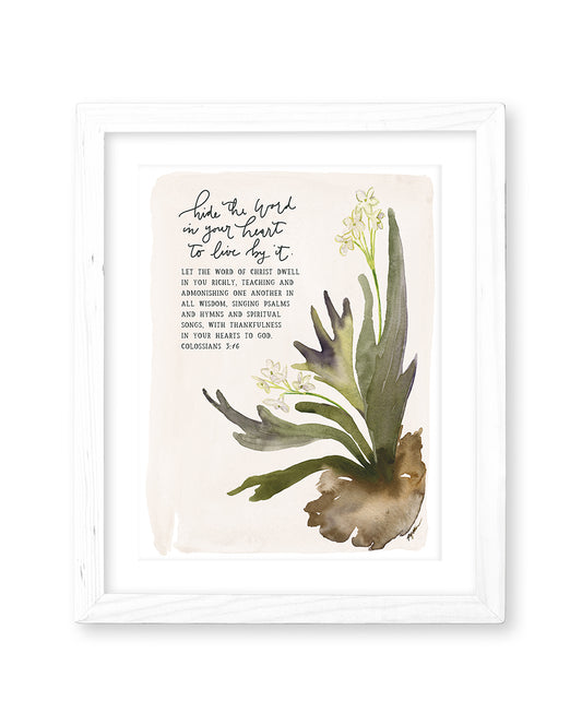 Colossians 3:16 | Hide the Word in Your Heart Print (Foundation 3)