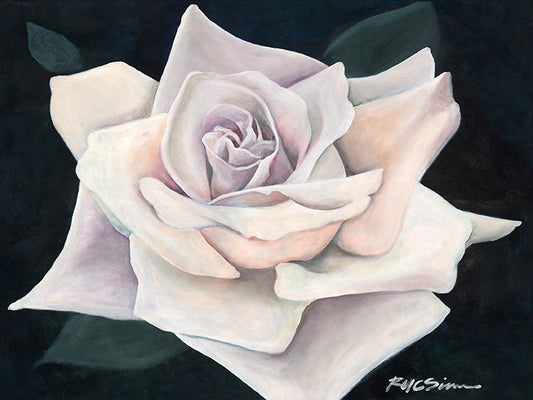 Pale Rose Fine Art Canvas