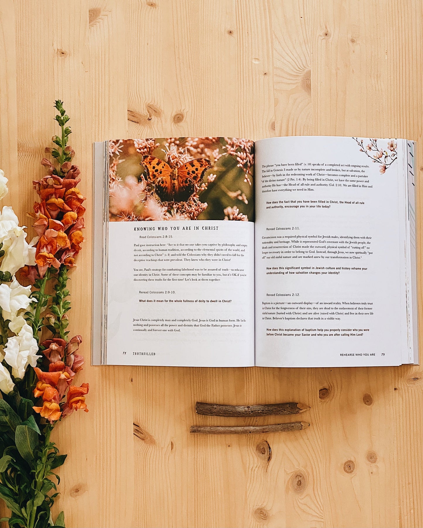 TruthFilled Bible Study Book with Video Access