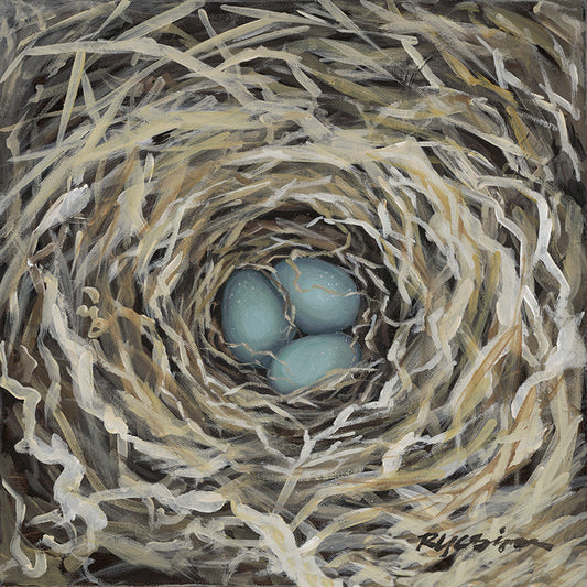 Robin's Nest Fine Art Canvas