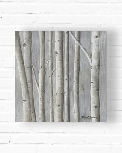 Winter Birch Fine Art Canvas