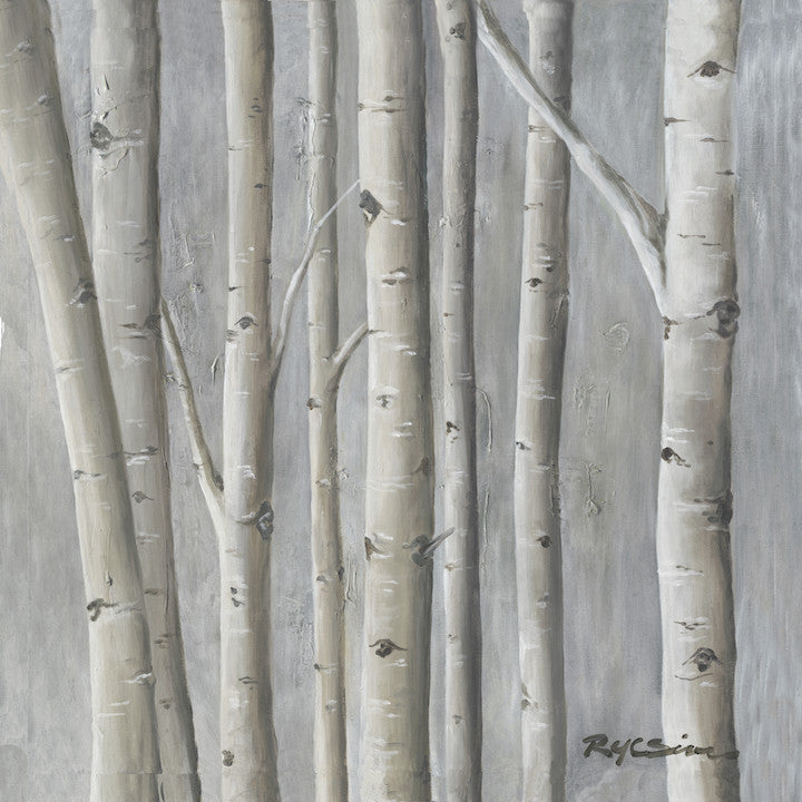 Winter Birch Fine Art Canvas