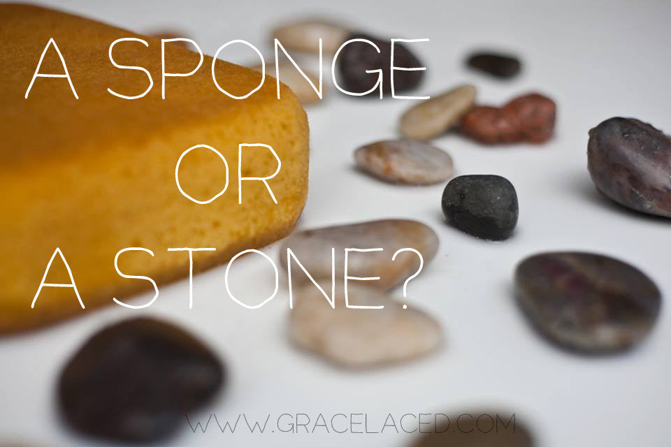 A Sponge Or A Stone