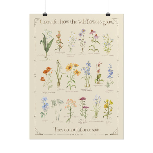 Luke 12:27 | Wildflower Poster