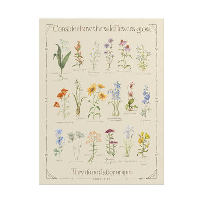 Luke 12:27 | Wildflower Poster