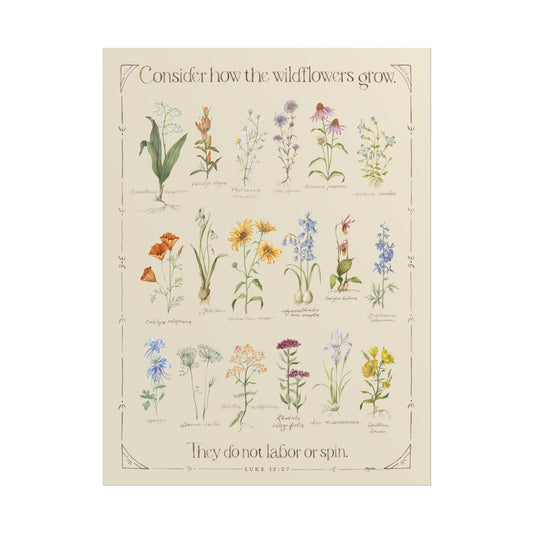 Luke 12:27 | Wildflower Poster