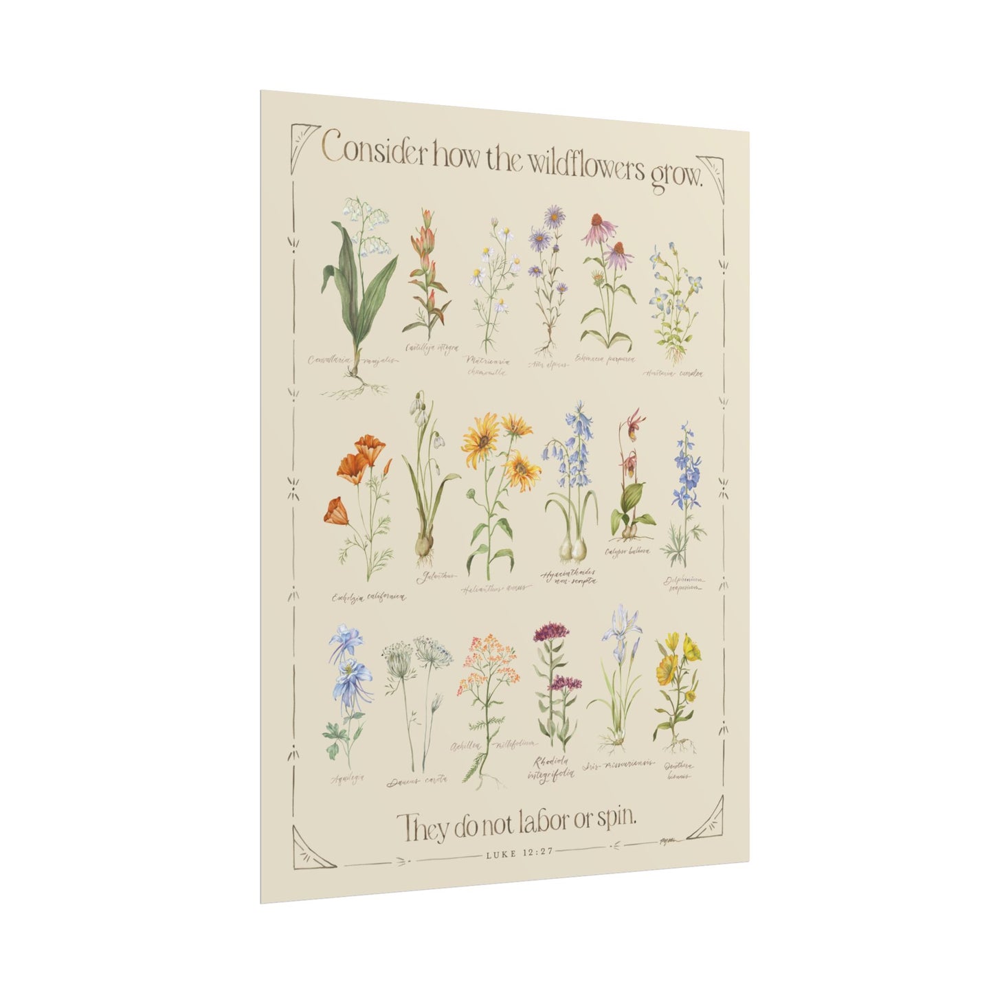 Luke 12:27 | Wildflower Poster