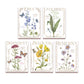 Wildflower Print Set