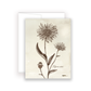 Wildflower Notecards