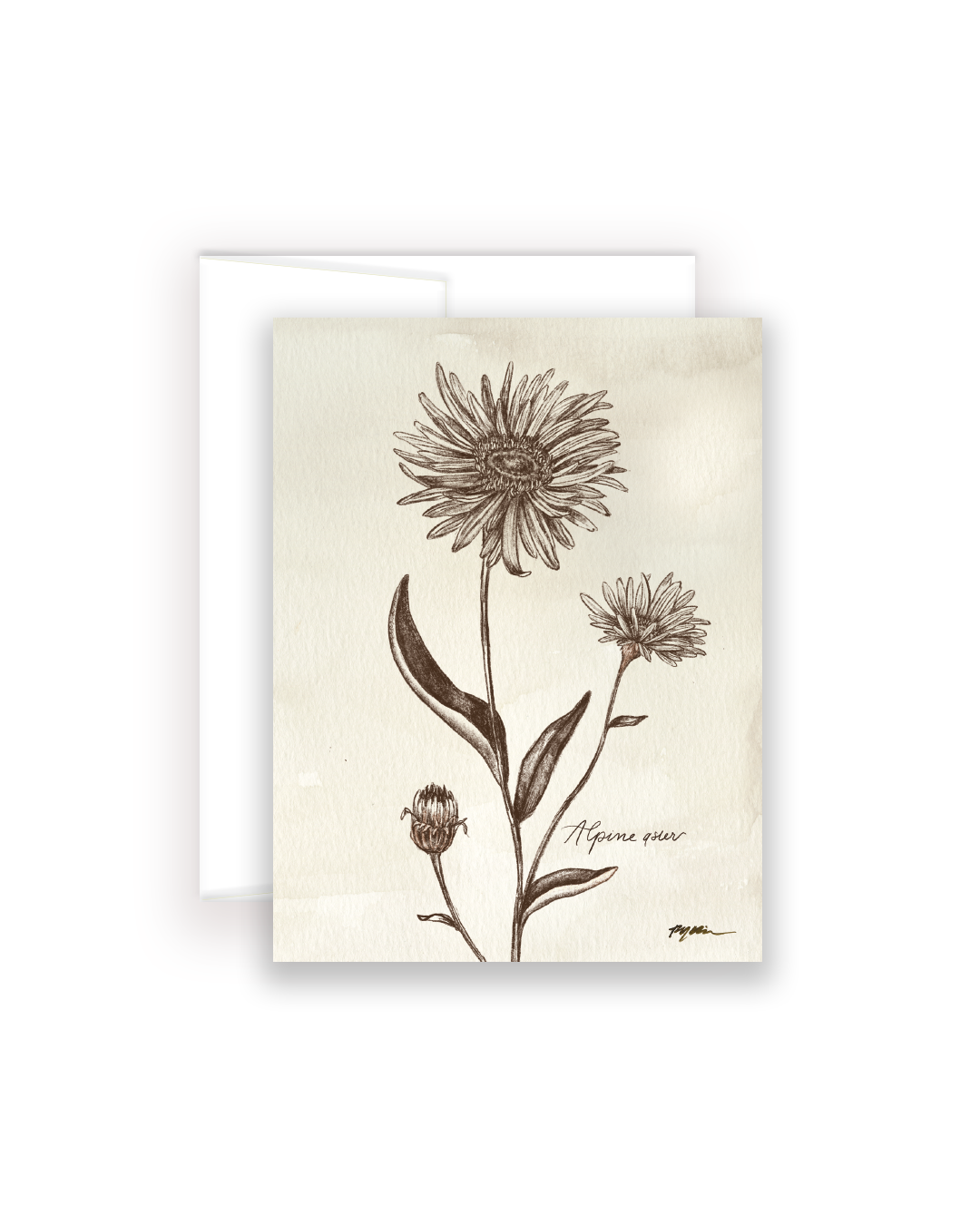 Wildflower Notecards