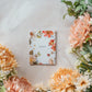 Romans 12:12 | Rejoice in Hope Notecard Set