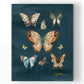 Butterfly Study Fine Art Canvas