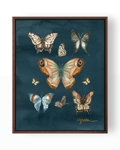 Butterfly Study Fine Art Canvas