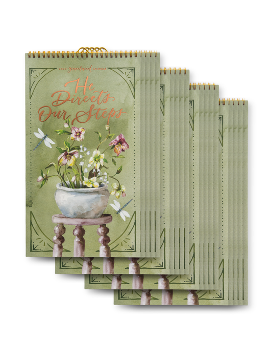 He Directs Our Steps 2027 Calendar (20-Pack)