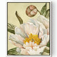 Hope in Bloom Fine Art Canvas