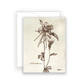 Wildflower Notecards